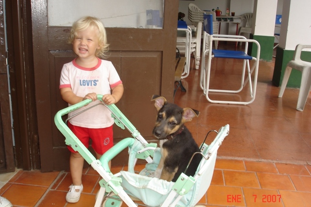 un perro en el campo(3 años)