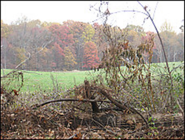 Group Fights Md. Over Highway