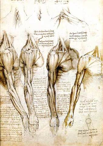 Pre-Animation: Leonardo Da Vinci's Drawings of Anatomy