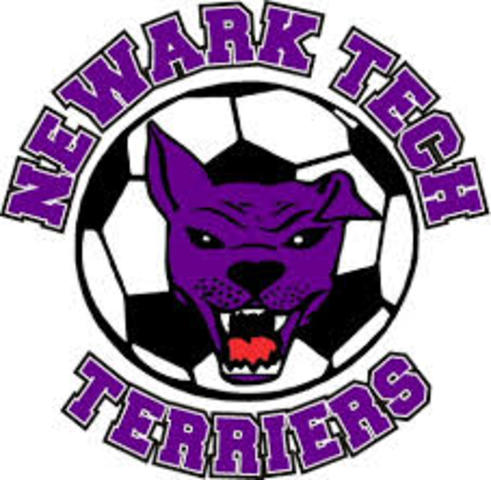 campeones seccionales