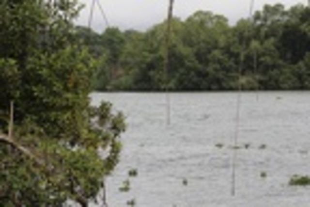 Alastramento da guerra