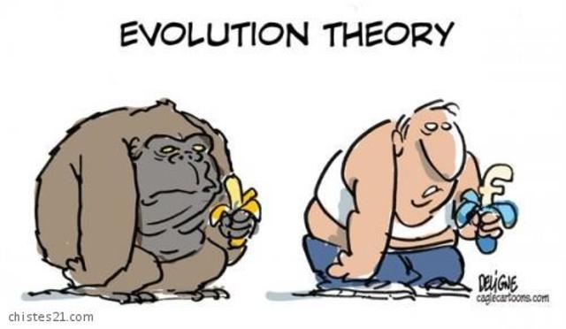 Teorías de las siglos XVI-XVIII