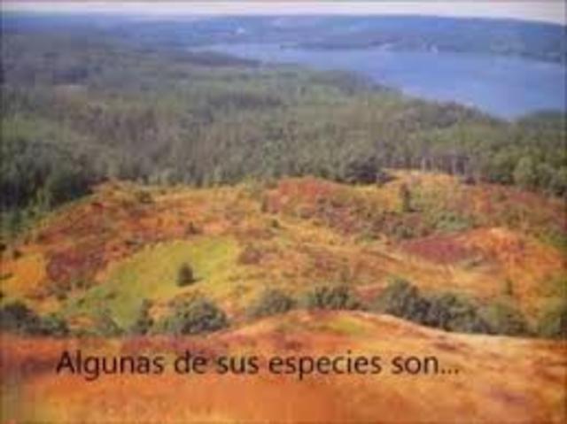 PALEOZOICA - FANEROZOICO