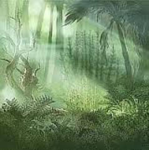 PALEOZOICA - FANEROZOICO