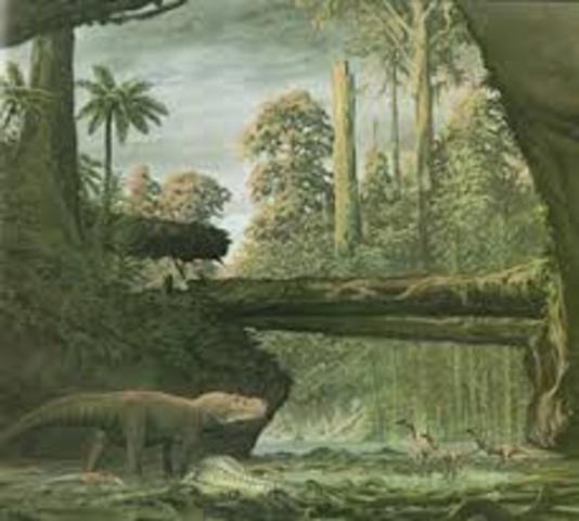 MESOZOICA - FANEROZOICO