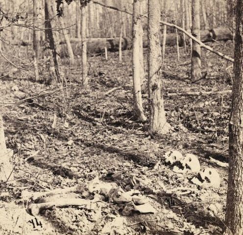 Battle of the Wilderness