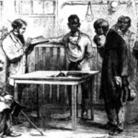 African American Males