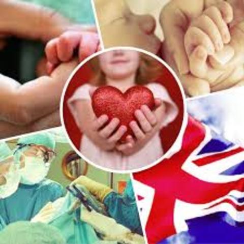 Se crean grupos de Atención primara a la Salud