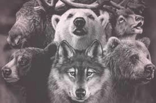 Spirits abandon Niska