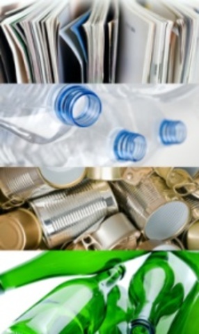 Eleccion del producto final