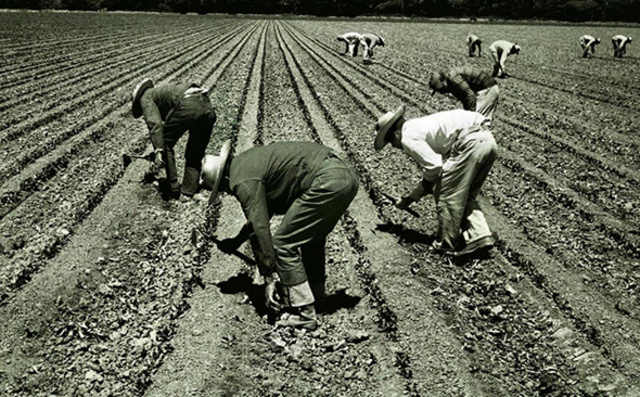 Acuerdo de braceros entre México y Estados Unidos, 1942