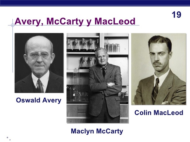 Avery, MacLeod y McCarty