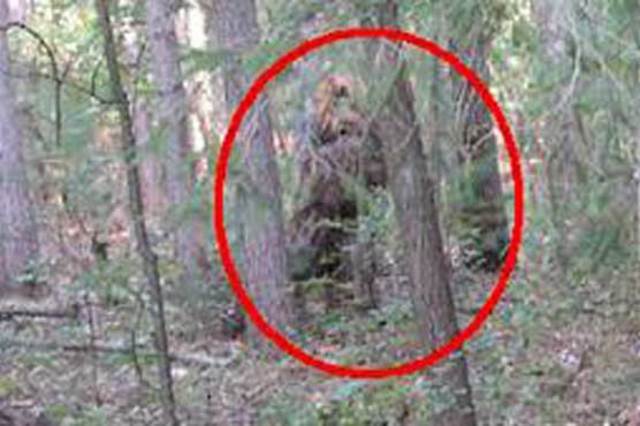 Mother and son witness a daytime road crossing near Harriman