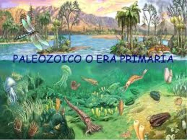 Paleozoico