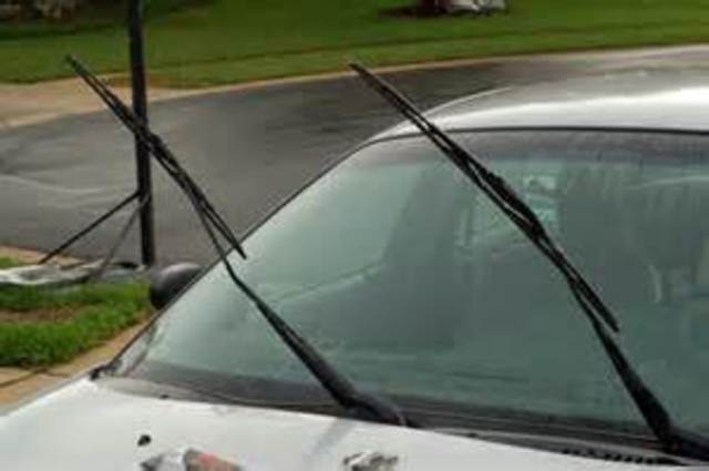 Windshield Wipers