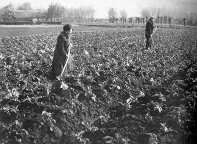 Lijfeigenschap afgeschaft