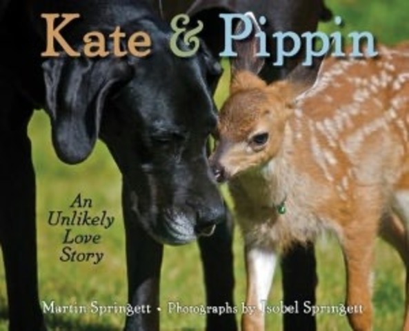 Kate & Pippin: an unlikely love story by Martin Springett