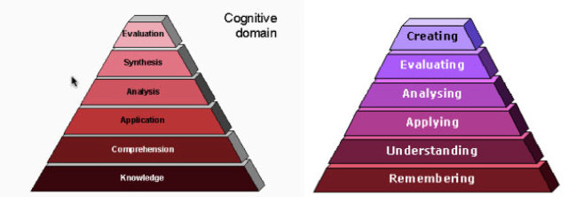 Estructura de la taxonomía