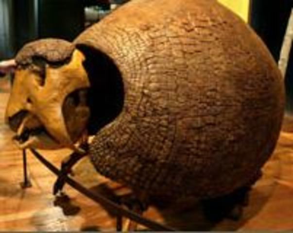 Punta Alta, Argentina