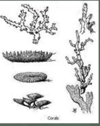 Cocos Islands (Keeling Islands)