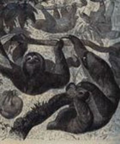 Bahia and Pernamnbuco, South America