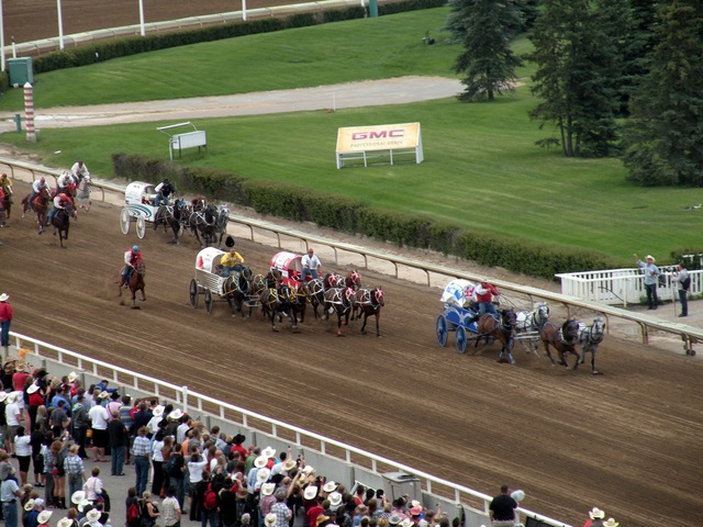 Chuckwagon Racing Transitioning