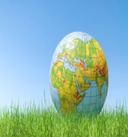 Declaración de la Haya