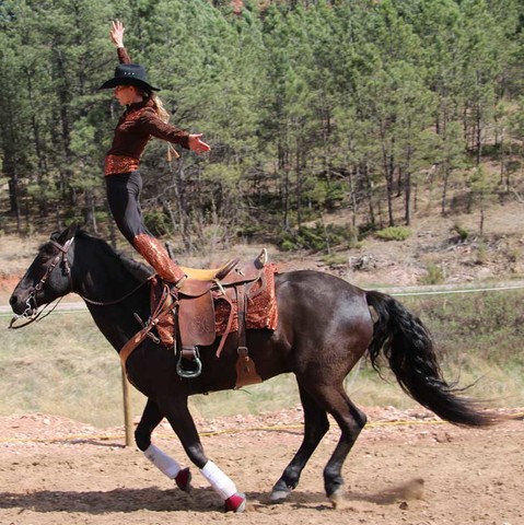 What Brought Stunt and Trick Riding to the Rodeo