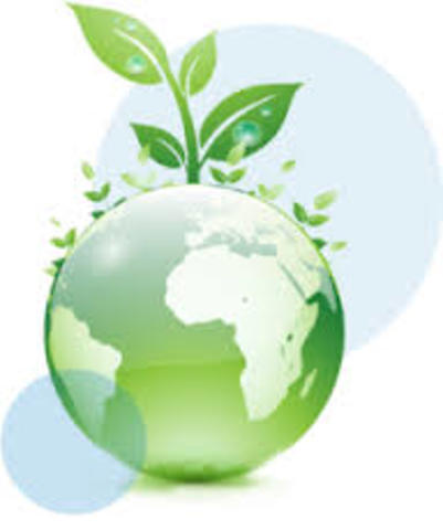 Qué son los impactos de una empresa