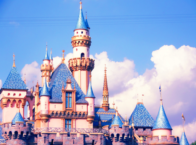 Went to Disneyland for the First Time