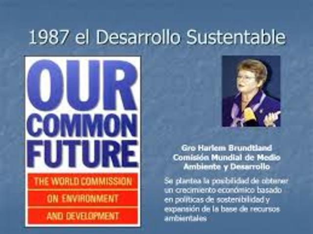 Informe Brundthand, Variable del Medio Ambiente