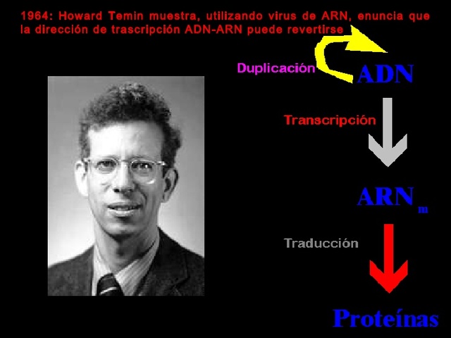 Virus de ARN