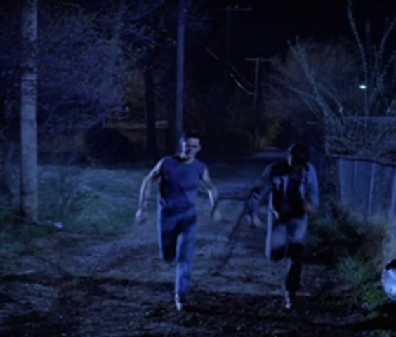 Ponyboy ran away from home.