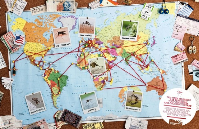 3 .- DEFINICIÓN DEL PRODUCTO FINAL