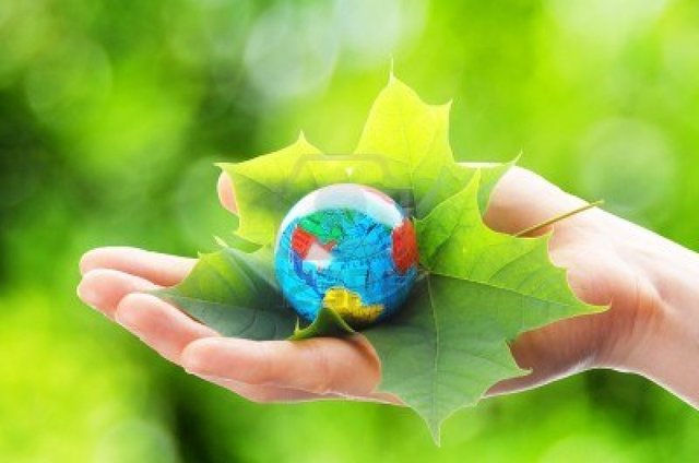 cuestiones de caracter ecologico