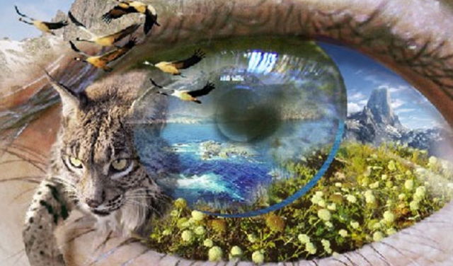 desarrollo sostenible