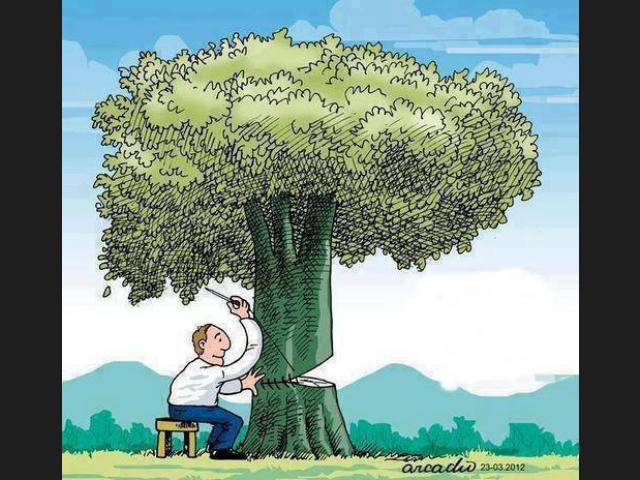 2.	Naciones unidas creó  la comisión mundial sobre ambiente y desarrollo