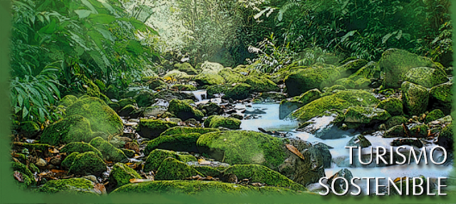 DECLARACION DE LA HAYA