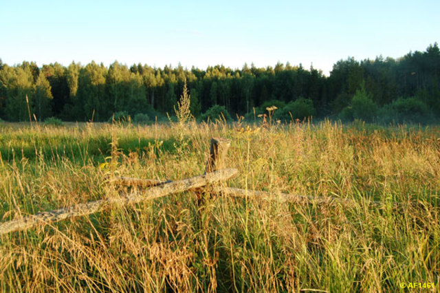 Общегосударственная проблема