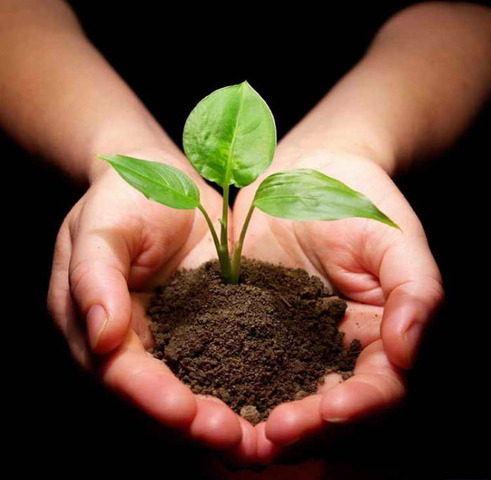 Когда кончатся реабилитационные работы?