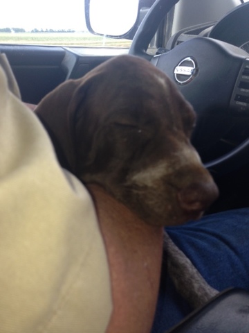 The day I found my forever family!