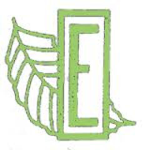 Started school at Elmdale