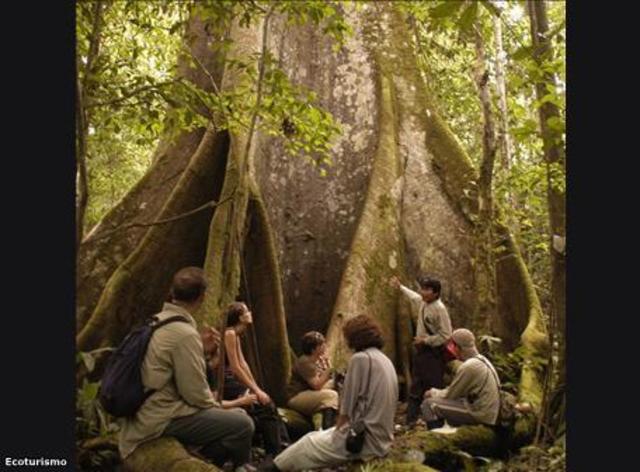 Declaración de la Haya sobre el turismo