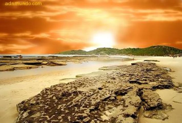 Primera conferencia de cambio climatico, Djerba Tunez