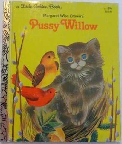 Pussy Willow