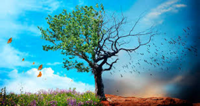 II conferencia de cambio climatico y turismo.