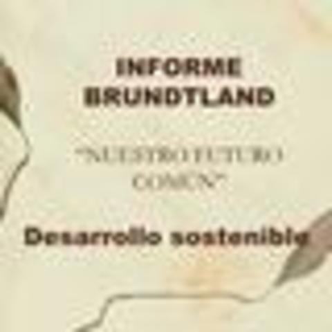 Informe Brundtland