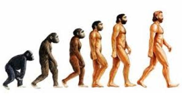 1979  Henry A Giroux