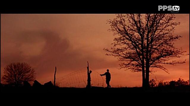 Nothing gold can stay(part 2)