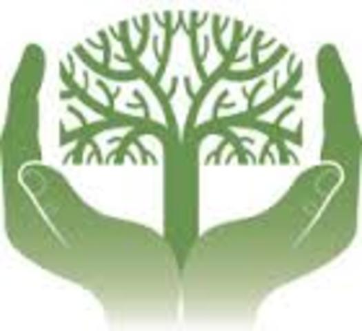 La declaración de caracas